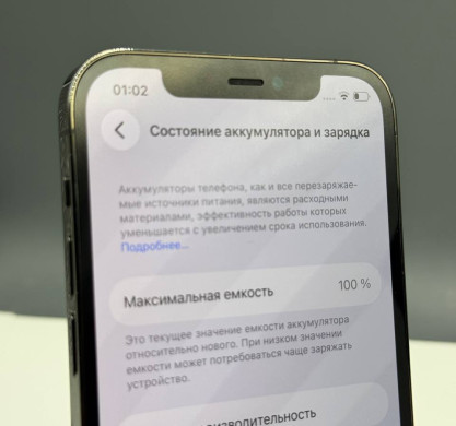 iPhone 12 Pro 256GB Graphite 100%